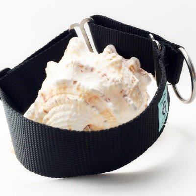wide martingale collar with stainless steel hardware for saltwater use
