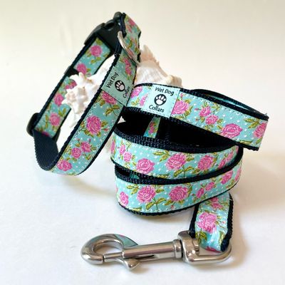 Dog collar and leash with floral rose pattern on a aqua background for saltwater dog