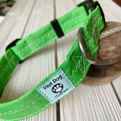 Green Hobie dog collar repurposed sailcloth with saltwater materials
