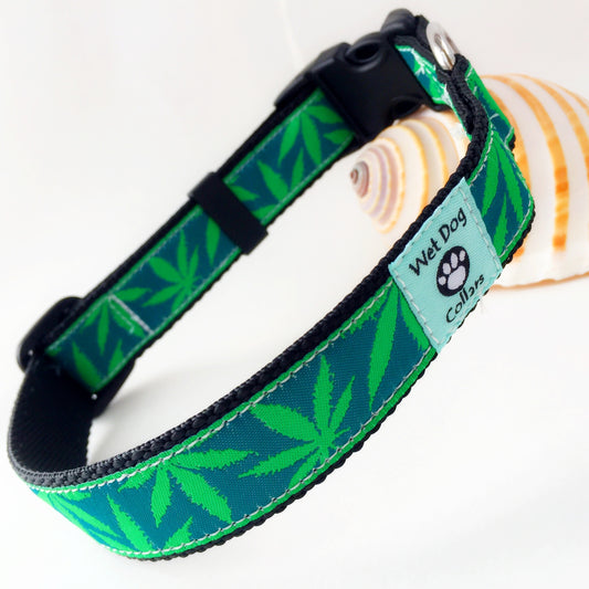 Green marijuana leaf-patterned dog collar for saltwater use