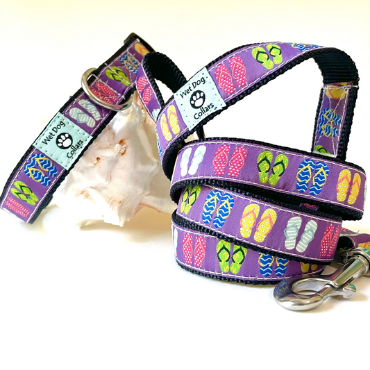 Colorful beach dog collar and leash with flip flop design on purple background for saltwater with rust proof stainless hardware