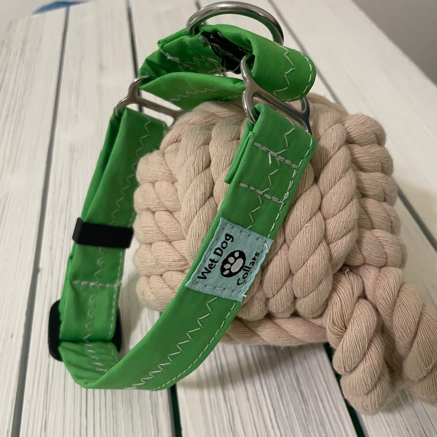 martingale collar made to order stainless steel hardware 