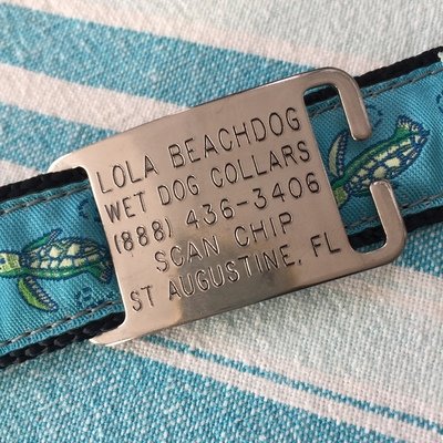 Engraved stainless steel dog ID name tag slide onto collar