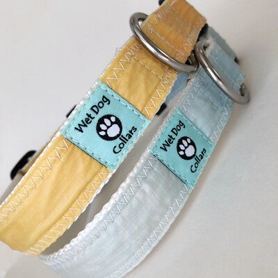 Two spinnaker sail dog collars in yellow and aqua with rust proof stainless D-rings for the sailor dog