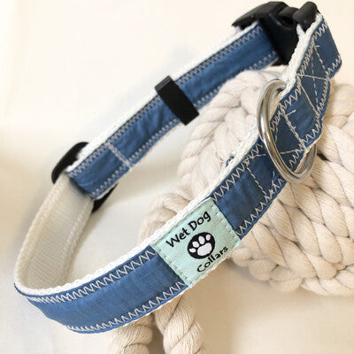 Dog collar with blue spinnaker and white stitching and rust proof stainless D-ring for the sailor dog
