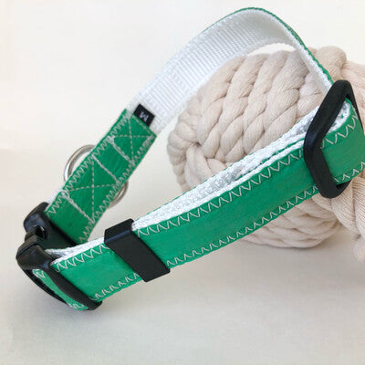 Dog collar with green spinnaker and white stitching and rust proof stainless D-ring for the sailor dog