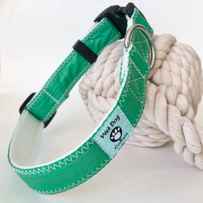 Dog collar with green spinnaker and white stitching and rust proof stainless D-ring for the sailor dog