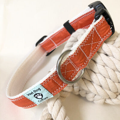 Dog collar with orange spinnaker and white stitching and rust proof stainless D-ring for the sailor dog