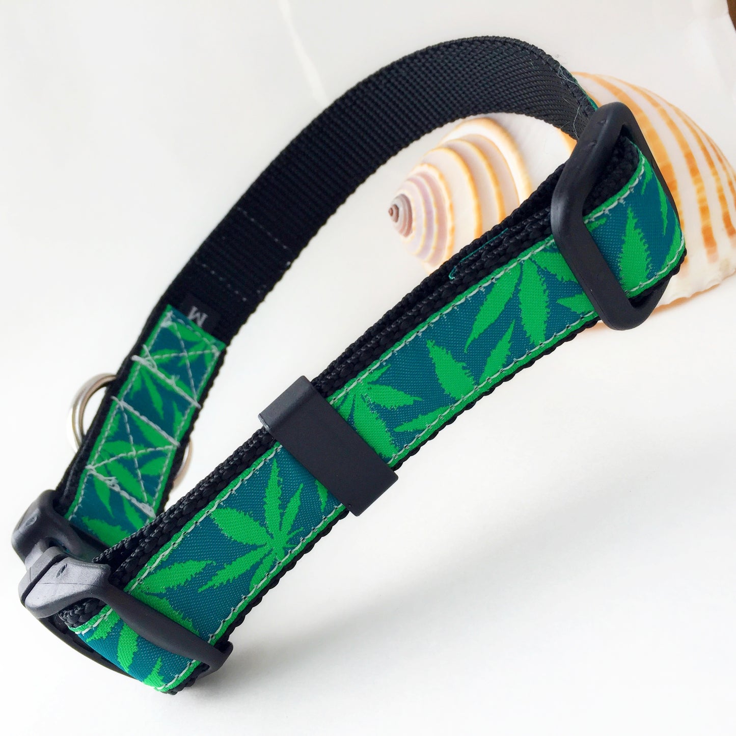 Green marijuana leaf-patterned dog collar with saltwater proof stainless  for beach use