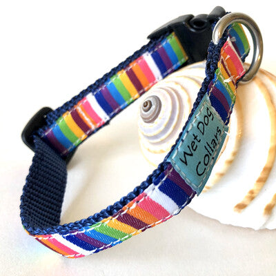 Colorful striped dog collar with stainless steel D-ring for saltwater use