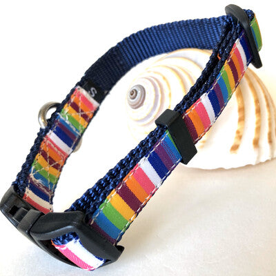 Dog collar with rainbow pattern and stainless D-ring for saltwater use