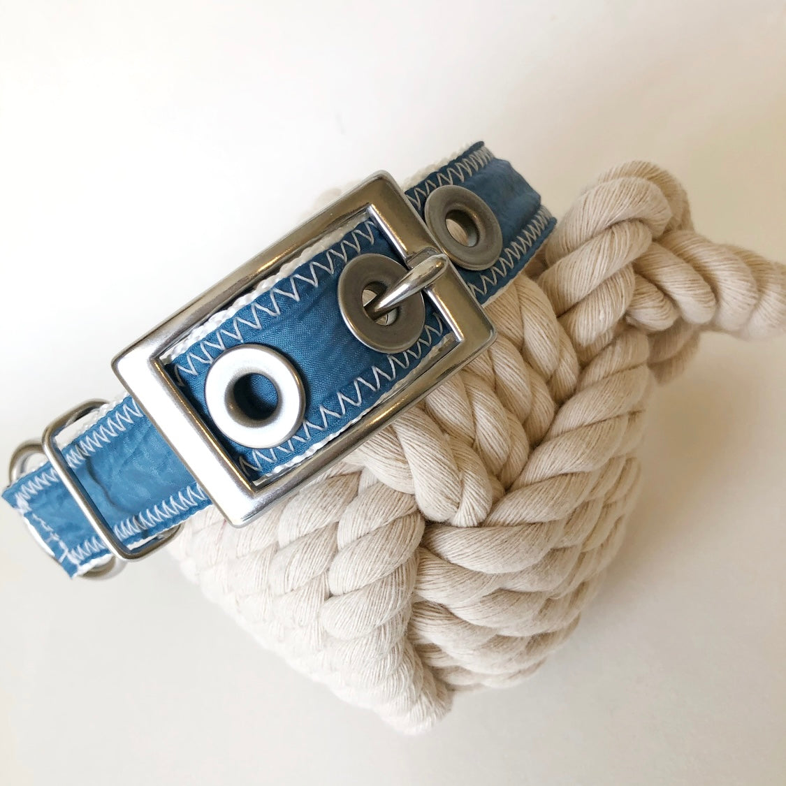 spinnaker dog collar with stainless steel buckle and grommets