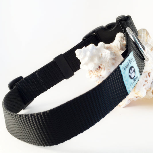 marine webbing dog collar with stainless steel D-ring for saltwater use.