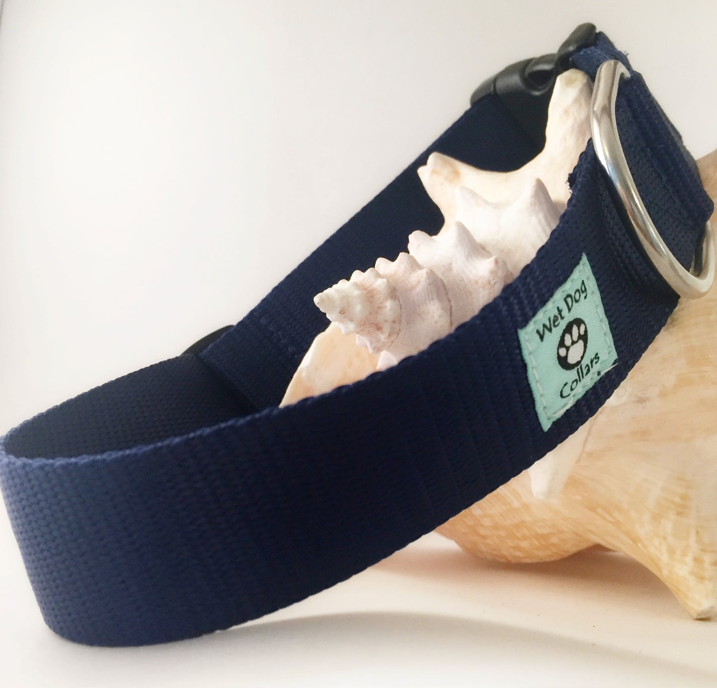 large wide marine webbing dog collar with stainless D-ring for saltwater use.