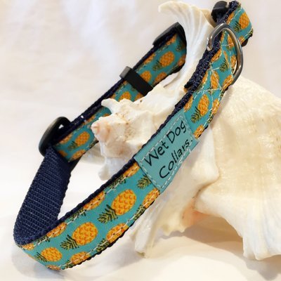 Dog collar with pineapple pattern for beach dogs