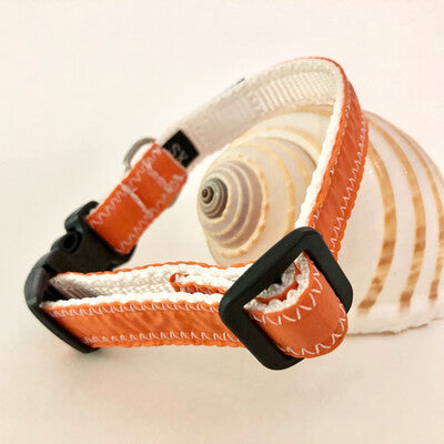 Orange dog collar made from repurposed spinnaker sails