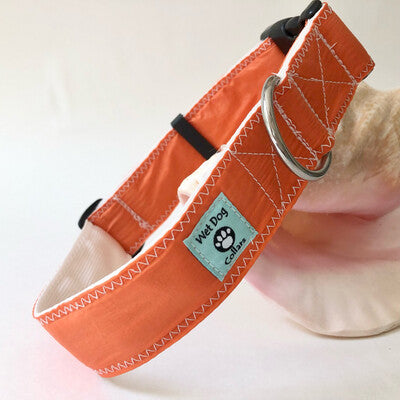 repurposed spinnaker sails into wide dog collar with rust proof stainless hardware