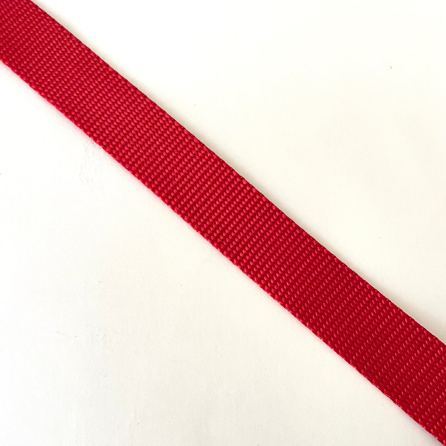 Dog Slip Lead - Basic